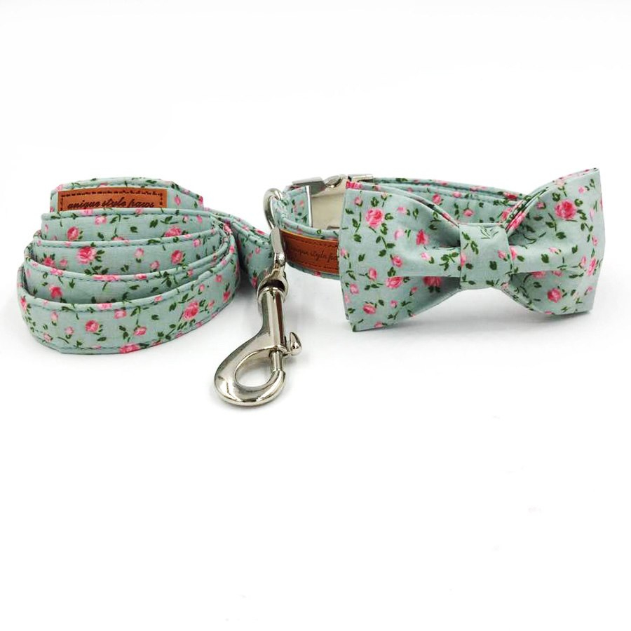 Collar Bow and Leash