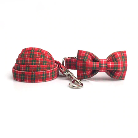 Collar Bow and Leash