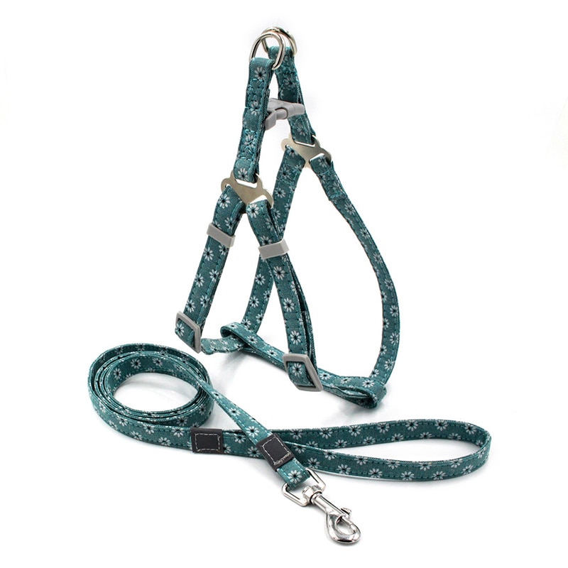 Dog's Boho Print Harness with Leash