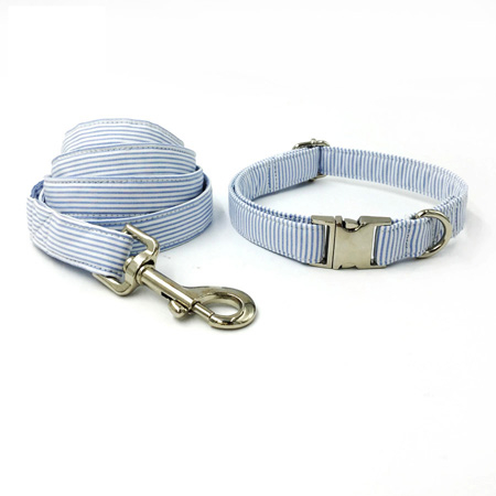 Collar and Leash