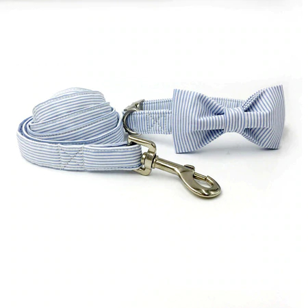 Collar Bow and Leash