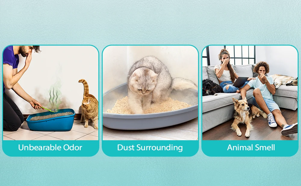 Cat's Smart Odor Purifier