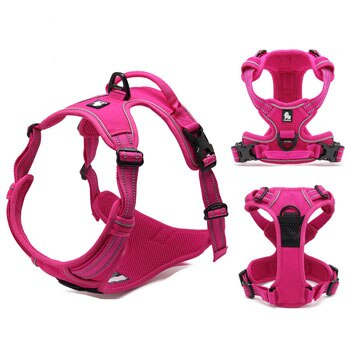 Dog's Reflective Nylon Harness