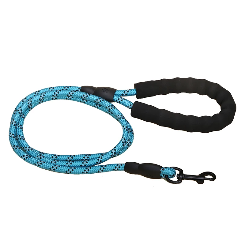 Colorful Thick Nylon Dog Leash