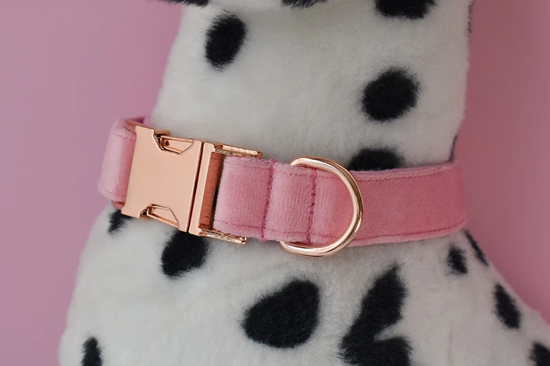 Dog's Customized Pink Collar and Leash