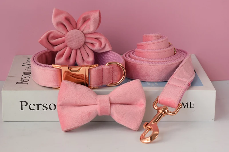 Dog's Customized Pink Collar and Leash