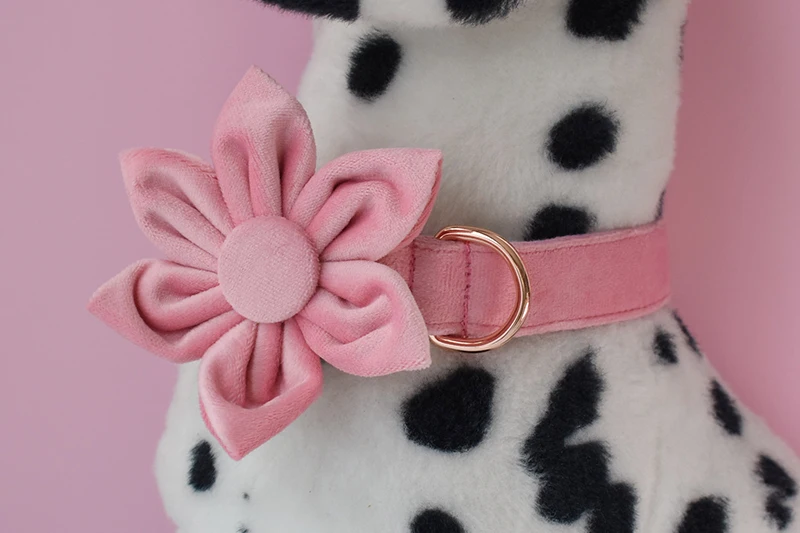 Dog's Customized Pink Collar and Leash