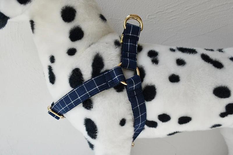 Dog's Plaid Harness and Leash Set