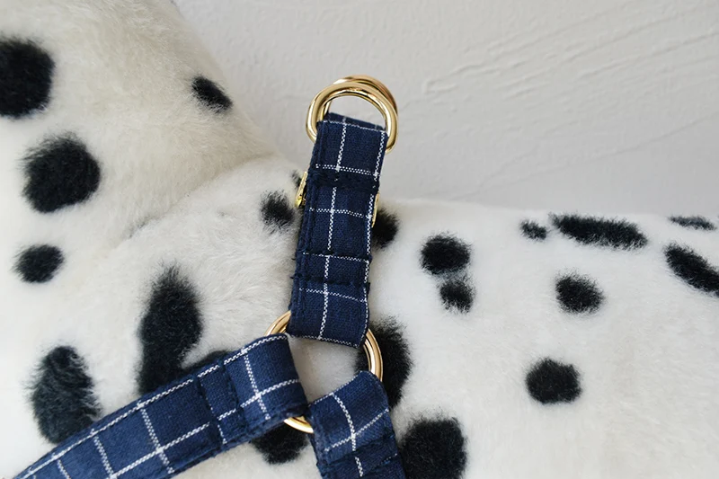 Dog's Plaid Harness and Leash Set