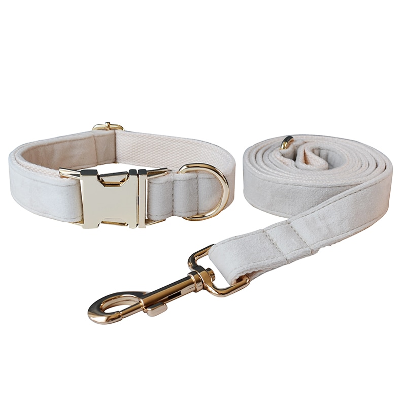 Dog Collar Leash Set