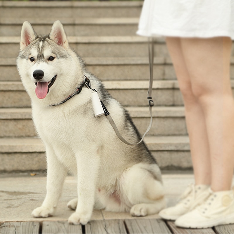 Portable Waste Bag for Dogs