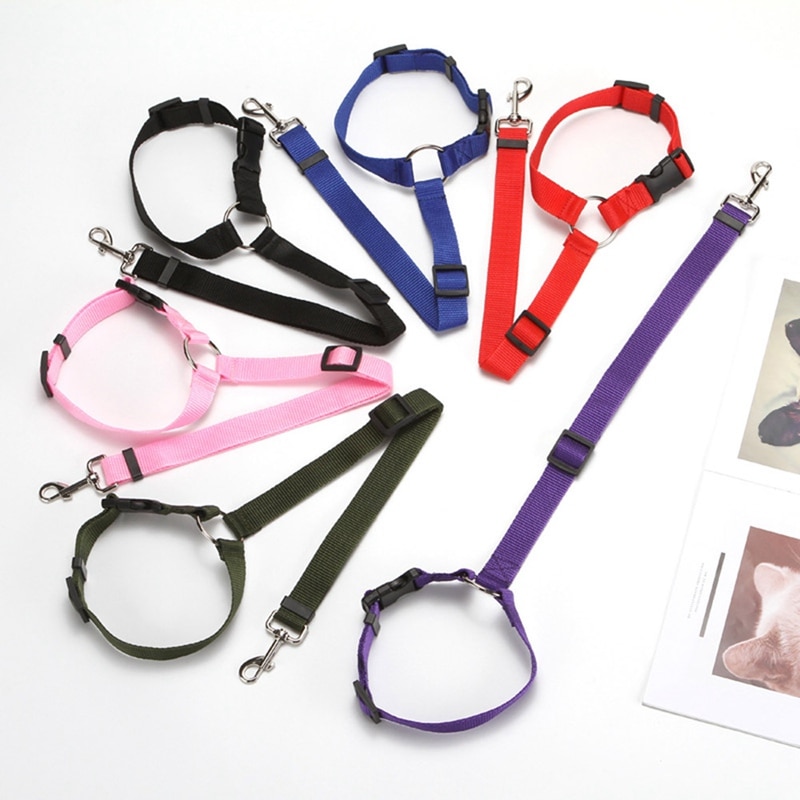 Pet Seat Belt Leash