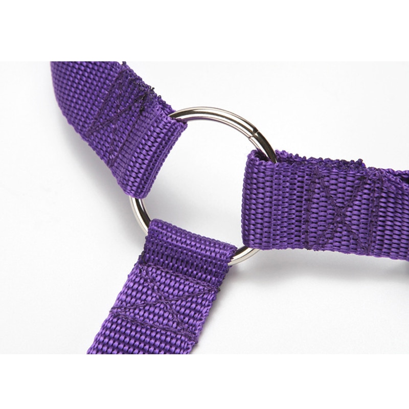 Pet Seat Belt Leash