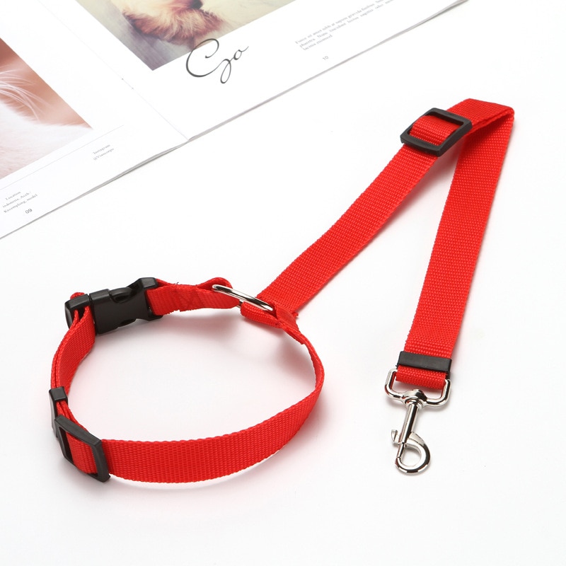 Pet Seat Belt Leash