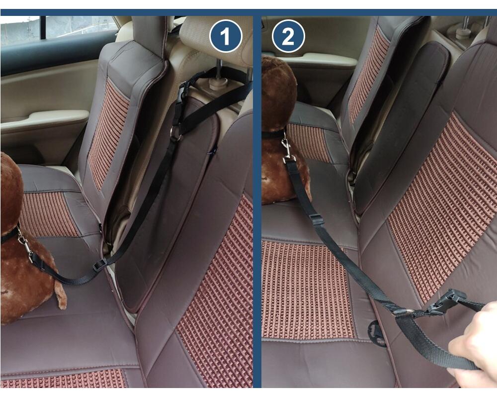 Pet Seat Belt Leash