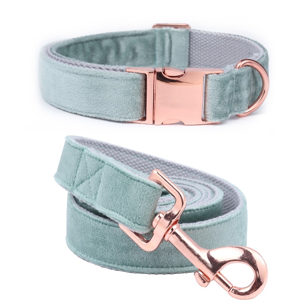 Adjustable Dog's Collar and Leash