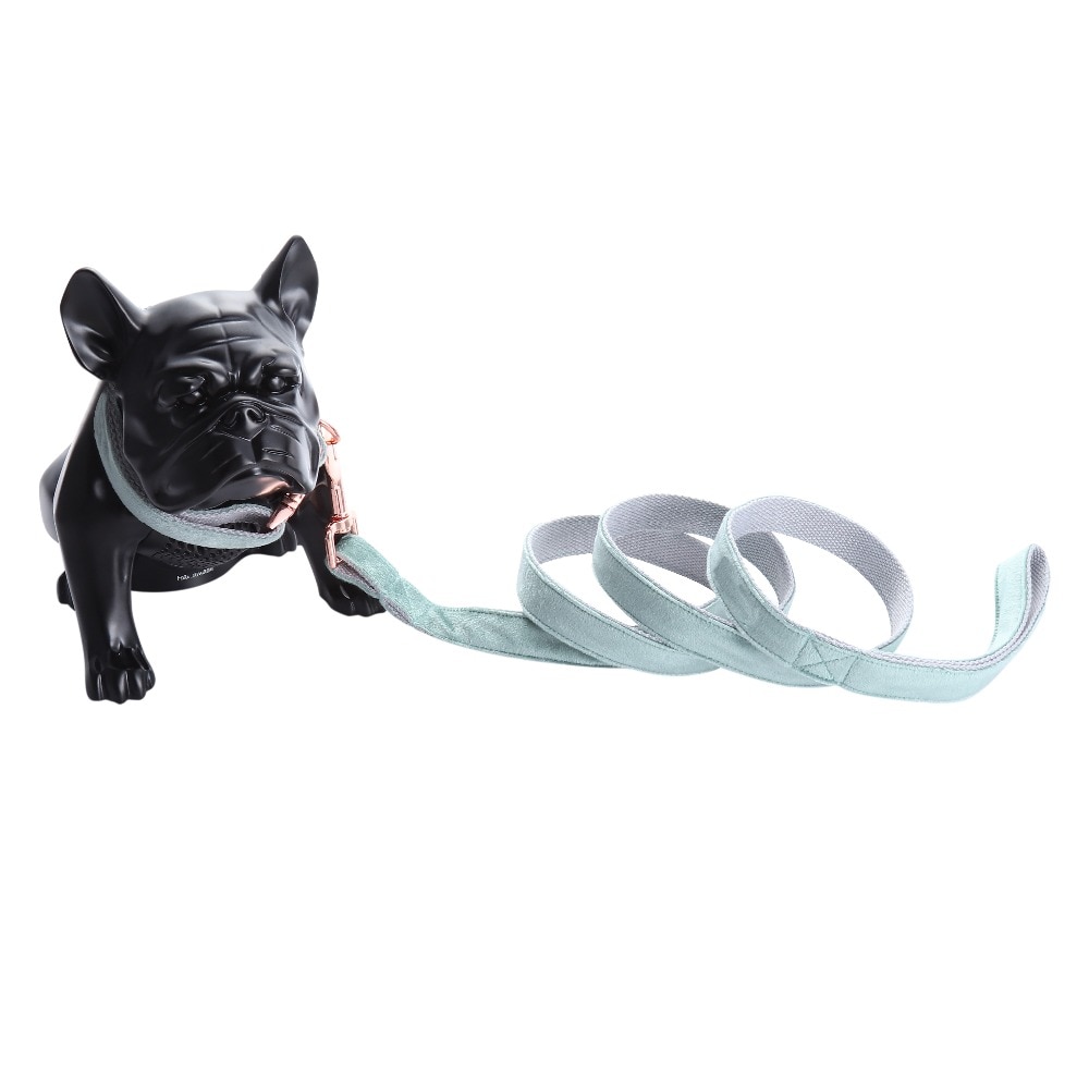 Adjustable Dog's Collar and Leash