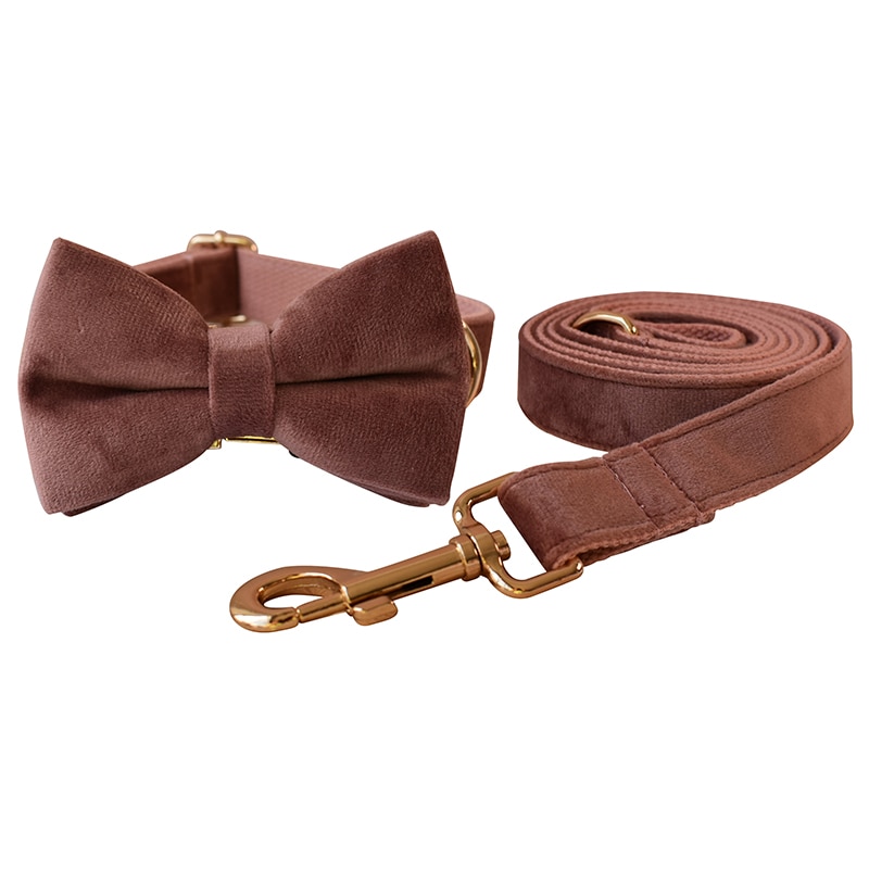 Bow Collar Leash Set