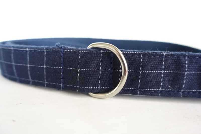 Blue Plaid Dog Collar and Leash Set