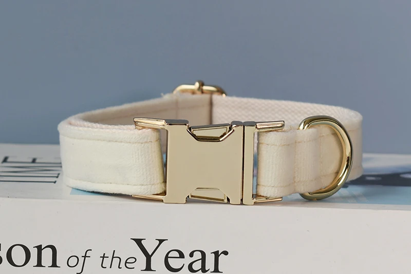 Dog's Personalized White Collar